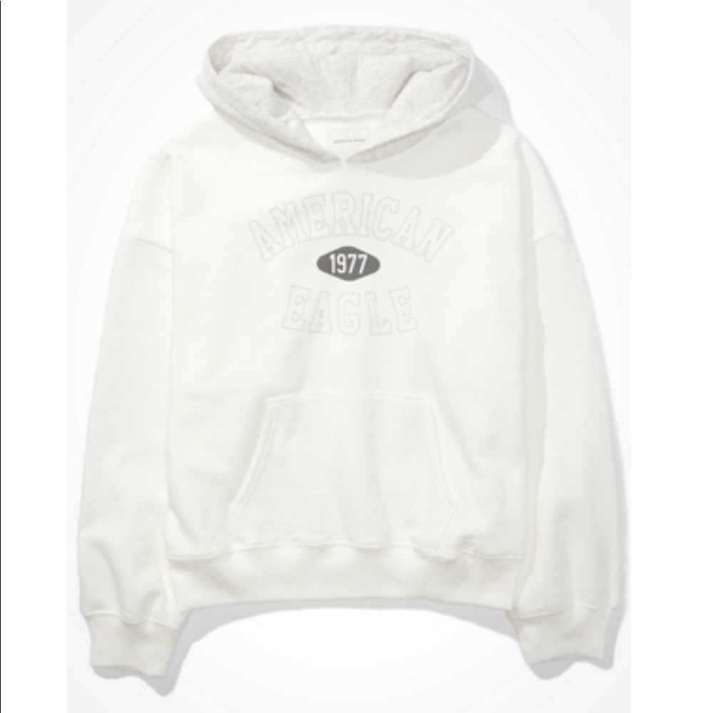 NWOT American Eagle Oversized Hoodie